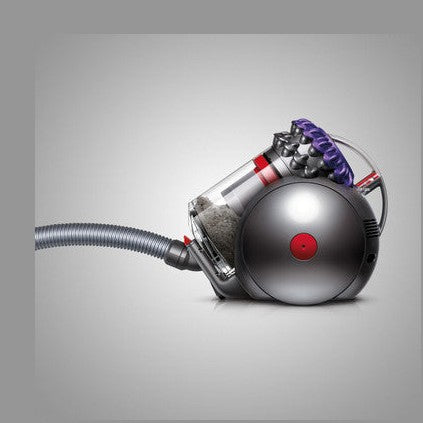 Dyson Big Ball Animal 2 Vacuum Cleaner | 228563-01